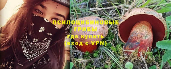 ECSTASY Кукмор