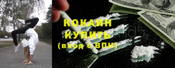 твердый Кулебаки