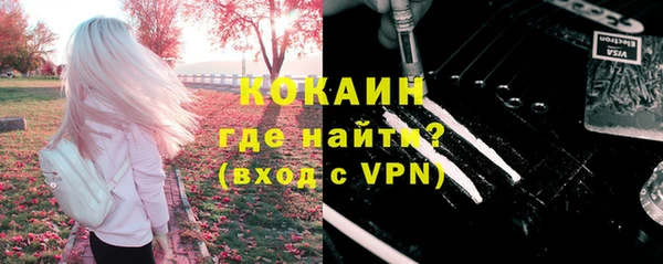 твердый Кулебаки