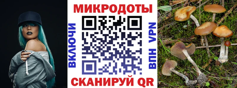 Купить закладки  Плёс  Псилоцибиновые грибы Cubensis 
